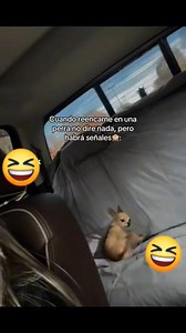 34K reactions · 3.4K shares | Vivis De la Cruz on Reels | Facebook