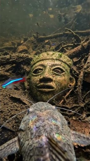 Banjo Catfish POV: The Wooden Mask Awakens #tinyquest #shorts #viral #banjocatfish #watermystery