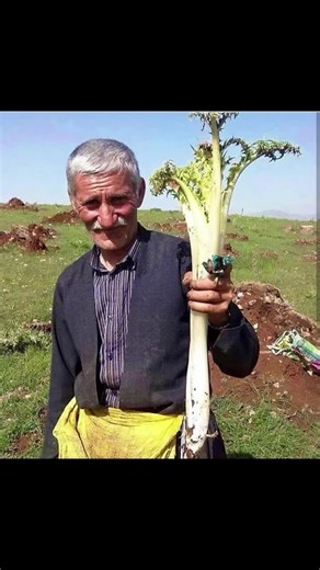 Exploring Unique Plant Collections in Diverse Settings