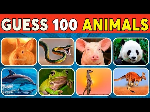 Guess the Animal! | 120 Animal Quiz Challenge from Easy to Hard