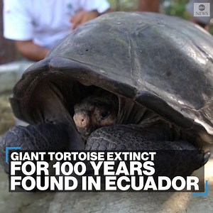 184K views · 1.1K reactions | COMING OUT OF HIS SHELL: A rare species...