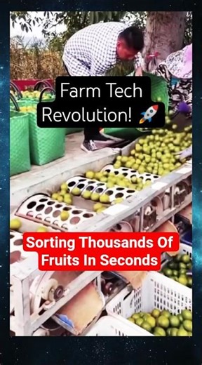 One Small Machine, Thousands of Fruits Saved! 🍊 Genius Farm Hack