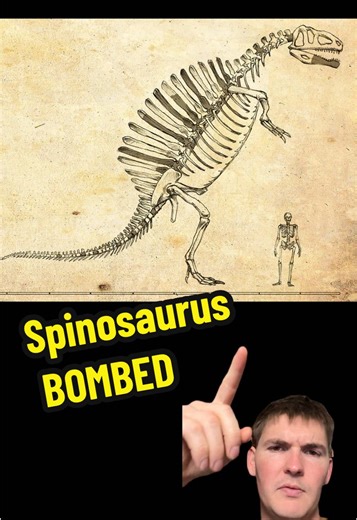 Understanding the Spinosaurus: Unique Features and Habitat