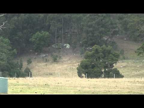 Long Range Shooting - 6mm BR