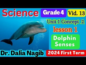 ساينس رابعه ابتدائي المنهج الجديد 2024 - Science Grade 4 Dolphin Senses Concept 2 Lesson 1