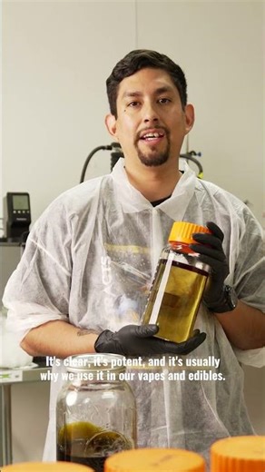 Medical Marijuana: Distillate Vs RSO