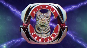 33K views · 716 reactions | We need more Mighty Morphin Meower Rangers!!! :D. [via Power Rangers] | KitNipBox | Facebook
