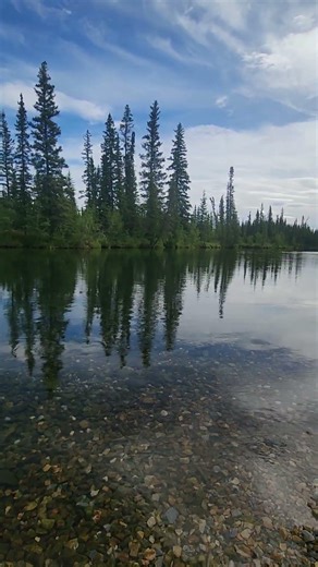 Clearwater State Recreation Site, Delta Alaska #alaskalife #summerinalaska