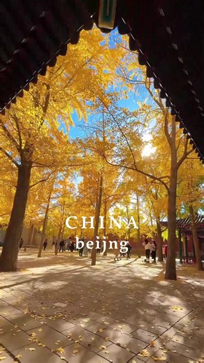 Beijing is a temple of Chinese aesthetic #chinatravel #china #beijing #travel