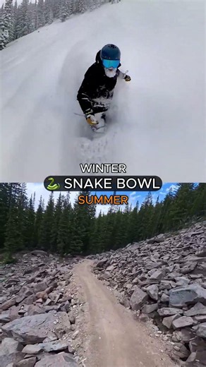 🐍 Snake Bowl Brighton Resort