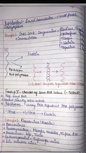 Baltimore classification of virus#hpu #microbiology