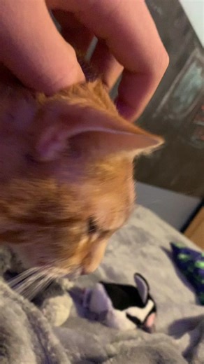 Kaboom Sound Effect Over Hiroshima Footage