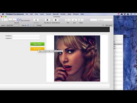 Filemaker Pro Container Fields