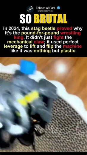 Nature’s Hydraulic System vs The Machine