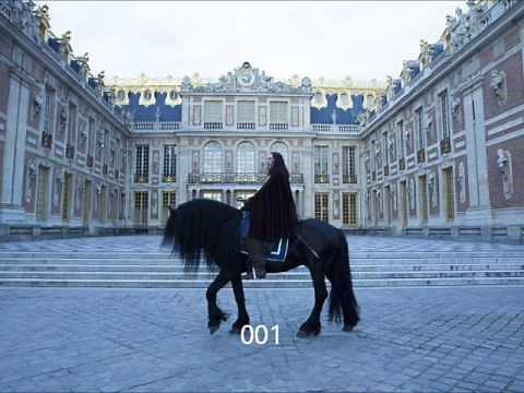 Tygh Runyan, Versailles, interview teaser, Fabien Marchal and Louis XIV, June 2017