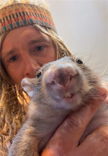 Caring for Baby Wombats: The Joys and Challenges