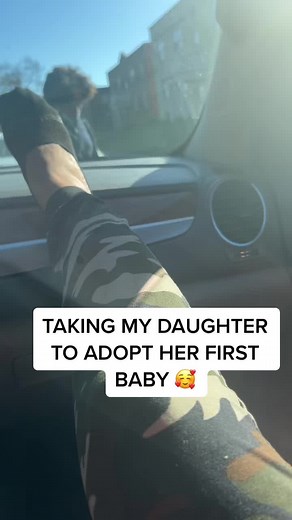 Adopting a Cat: A Heartwarming Journey Home