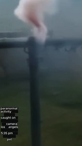 242K views · 5.7K reactions | latest alien sighting 2025 UFO update today 2025 #ufo #ufos #ufosighting #ufoキャッチャー #alien #aliens | Sergio BELLS | Facebook