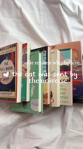 Meaningful Cat Encounters: Fiction Recommendations