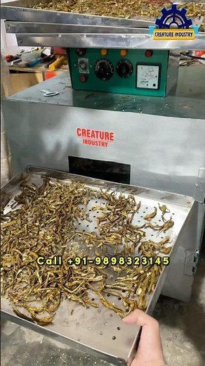 Capsicum Chilli Dryer - Dehydrator | Grinding Business | How To Dry Simla Mirch #creatureindustry