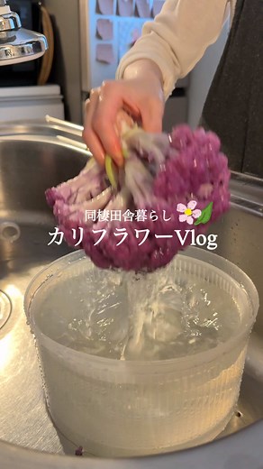 カリフラワーの洗い方とレシピ｜カルパッチョ・マリネマッシュポテト