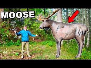 I Bought a Life Size Moose Target!