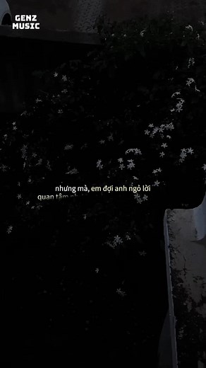 Nhạc GenZ: Phần 20 - Bài Ca Love Song