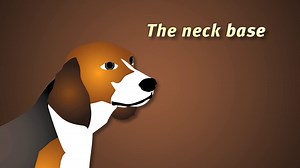 Dean & Tyler Royal Leather Padded Muzzle, Pit Bull