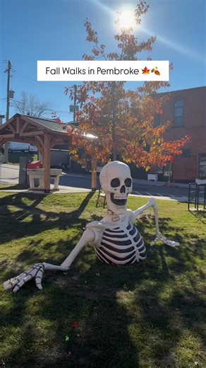 1.1K views · 311 reactions | This is your sign to explore Downtown Pembroke  Enjoy everything our community has to offer this autumn. | The City of Pembroke | Facebook