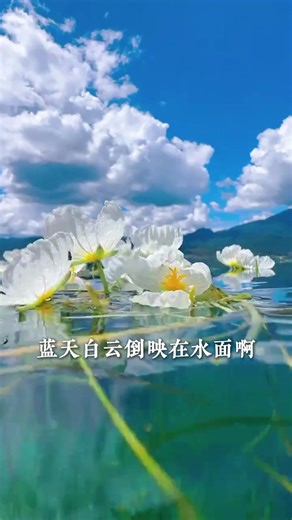 两个人来云南，具体怎么玩#云南旅游攻略#大理旅游攻略#chinatravel #中国旅行 #中国144小时免签