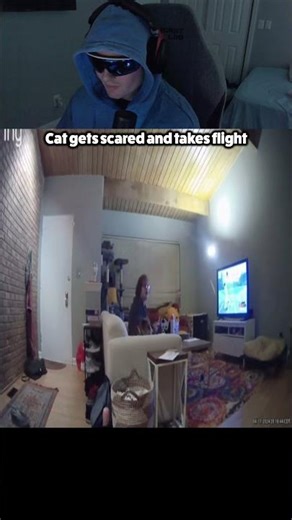 Get gets scared and takes flight