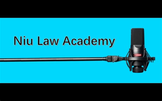 法律英语高级教程 Lesson 13 Virtual Civil Litigation