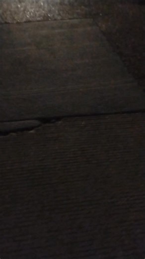 Good morning | Michael Nelson