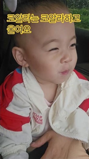 📢How does a koala cry? Koala~~~17 Gallery cute baby