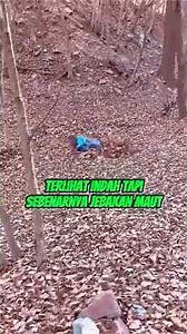 Terlihat Indah Tapi Sebenarnya Jebakan Maut #faktaunik #sains #sainsasyik