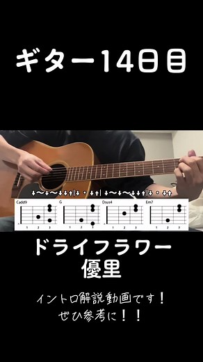 初心者向けドライフラワーのギター練習法