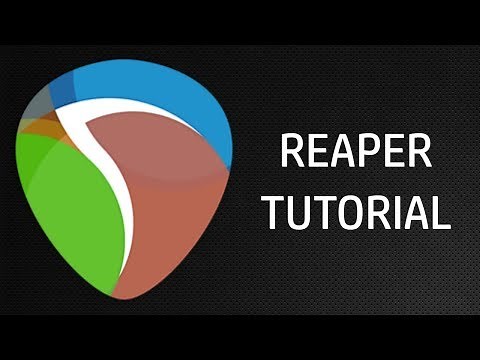 How to Assign Interface Inputs to Tracks on Reaper