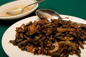 Adobong kamaru (mole cricket) - Kapampanganku