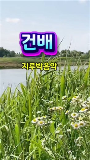 건배 🍻 사교댄스 | 콜라텍 | 카바레 | 리듬짝 | 트로트 | 지루박 음악듣기 | 그리운노래TV