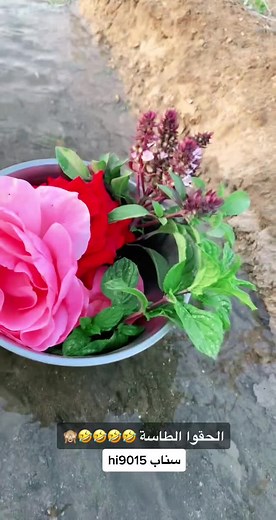 حسابات مقترحة