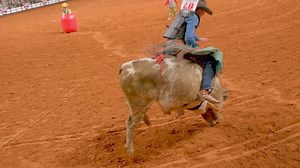 1.6K reactions · 215 shares | Join the excitement of FWSSR rodeo in Dickies Arena. Fort Worth's most authentic western lifestyle event. | Fort Worth Stock Show & Rodeo | Facebook