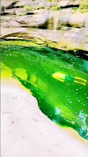 Village Pond Vibes Natural Swimming in Clear Water #natureshorts