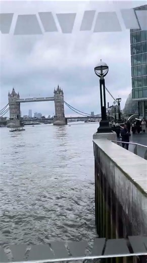 Gazing at Tower Bridge, London from Rob R. 🇬🇧