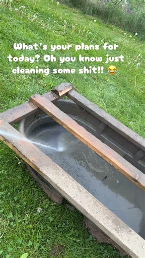 Pig pen clean out day! #homestead #farmlife #farmchores #kunekunepigs