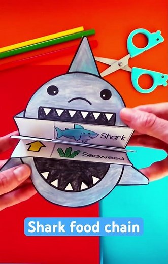Food chain science sequencing craft - shark food chain #firstgrade #secondgrade #teacherresources