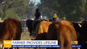 He's the unexpected man giving unemployed Aussies a lifeline. Farmer, Sam Heagney is in a unique position this year, advertising for 60 jobs on his land. #9Today | TODAY
