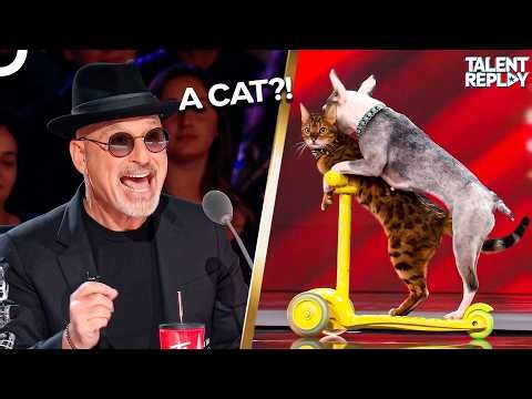 They’re Animals... But Better Than Humans | Canada's Got Talent