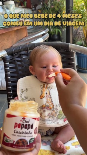 Alimentação do Bebê Reborn em um Dia de Viagem