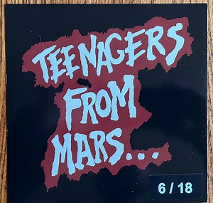 The Misfits - Teenagers From Mars