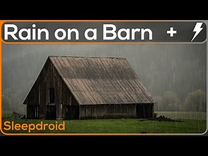 ► Rain and Thunder in Metal Roof Barn Sounds for Deep Sleeping (With Occasional Cow) Tin Roof Lluvia